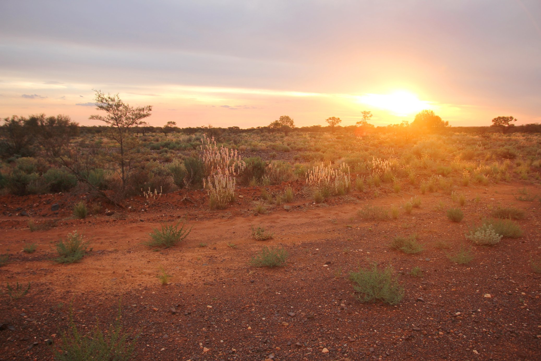 Australian outback